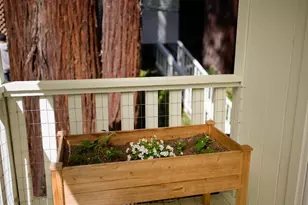 10735 Westwood Rd, Felton, CA 95018 - Photo 69