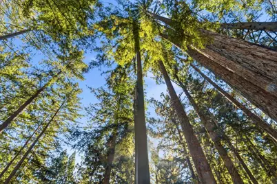 0 Forest Way, Brookdale, CA 95007 - Photo 23