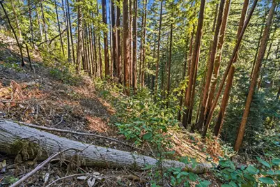 0 Forest Way, Brookdale, CA 95007 - Photo 15