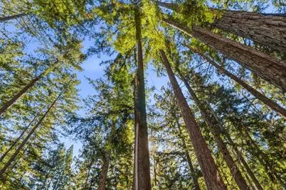 0 Forest Way, Brookdale, CA 95007 - Photo 21