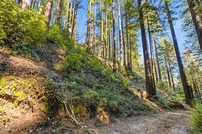 0 Forest Way, Brookdale, CA 95007 - Photo 5