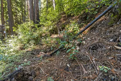 0 Forest Way, Brookdale, CA 95007 - Photo 9