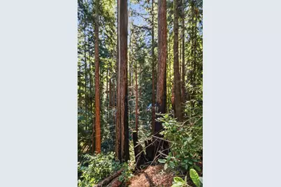 0 Forest Way, Brookdale, CA 95007 - Photo 25