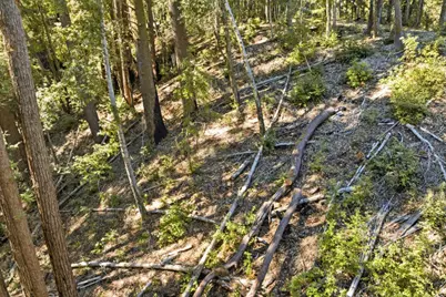 0 Forest Way, Brookdale, CA 95007 - Photo 11