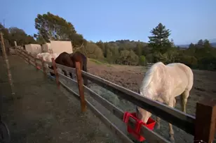 30 Pacific View Terr, Watsonville, CA 95076 - Photo 15