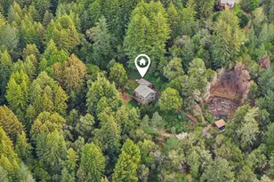 17386 Tressel Pass Rd, Boulder Creek, CA 95006 - Photo 35