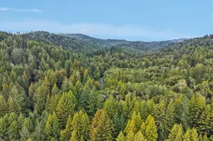 17386 Tressel Pass Rd, Boulder Creek, CA 95006 - Photo 33