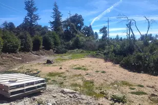 297 Robles Dr, Santa Cruz, CA 95060 - Photo 7