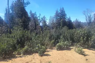 297 Robles Dr, Santa Cruz, CA 95060 - Photo 11