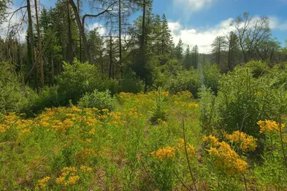 297 Robles Dr, Santa Cruz, CA 95060 - Photo 3