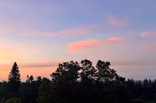 18782 Withey Rd, Monte Sereno, CA 95030 - Photo 35