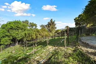 18782 Withey Rd, Monte Sereno, CA 95030 - Photo 37