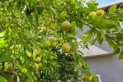 612 Hudson St, Redwood City, CA 94061 - Photo 37