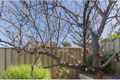 27312 Bavella Way, Salinas, CA 93908 - Photo 41