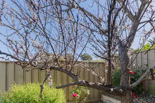 27312 Bavella Way, Salinas, CA 93908 - Photo 41