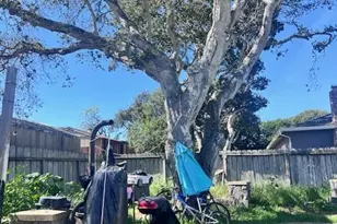 9460 S Century Oak Rd, Salinas, CA 93907 - Photo 21