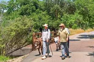 750 Los Robles Ave, Palo Alto, CA 94306 - Photo 45