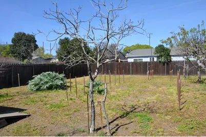 1795 Kammerer Ave, San Jose, CA 95116 - Photo 15