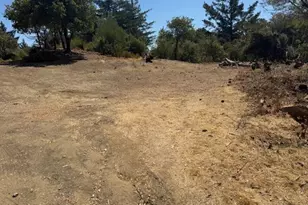 105 Silverline Rd, Los Gatos, CA 95033 - Photo 21