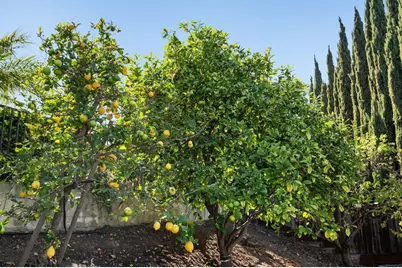 2231 Quail Bluff Ct, San Jose, CA 95121 - Photo 83