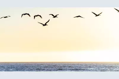 9 Rockview Dr, Santa Cruz, CA 95062 - Photo 61