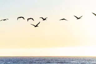 9 Rockview Dr, Santa Cruz, CA 95062 - Photo 61