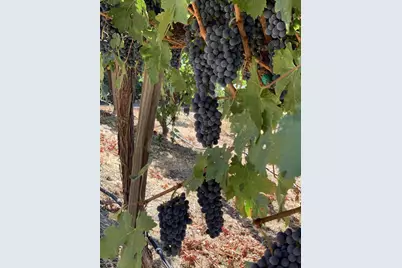 25220 Quail Ridge Rd, Los Gatos, CA 95033 - Photo 91