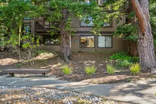 3314 Brittan Ave 1, San Carlos, CA 94070 - Photo 23