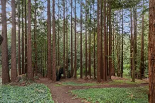 113 Lauren Cir, Scotts Valley, CA 95066 - Photo 137