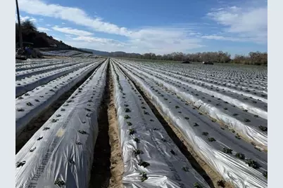 0 Murphy Hill Rd, Watsonville, CA 95076 - Photo 11