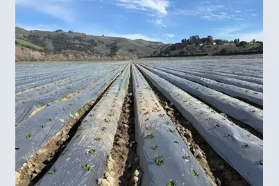 0 Murphy Hill Rd, Watsonville, CA 95076 - Photo 9