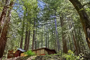 155 Native Sons Rd, Woodside, CA 94062 - Photo 41