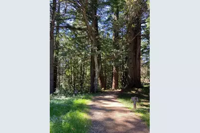 155 Native Sons Rd, Woodside, CA 94062 - Photo 11