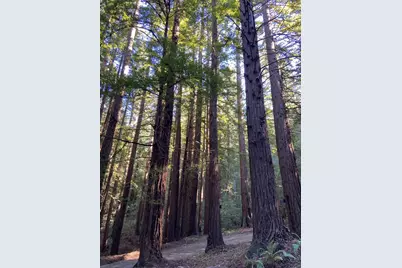 155 Native Sons Rd, Woodside, CA 94062 - Photo 1