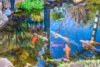 12170 Calle Uvas, Gilroy, CA 95020 - Photo 35