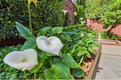 408 Green Hills Dr, Millbrae, CA 94030 - Photo 109