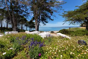 302 Seascape Resort Dr, Aptos, CA 95003 - Photo 15