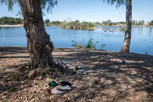 4970 Cherry Ave 115, San Jose, CA 95118 - Photo 29