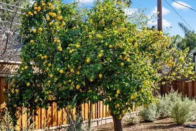 12536 Paseo Flores, Saratoga, CA 95070 - Photo 11