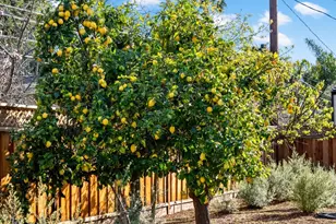 12536 Paseo Flores, Saratoga, CA 95070 - Photo 11