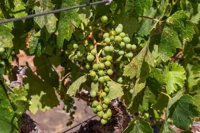 741 Riverside Rd, Hollister, CA 95023 - Photo 29