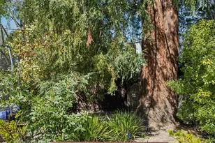 830 Monte Rosa Dr, Menlo Park, CA 94025 - Photo 51