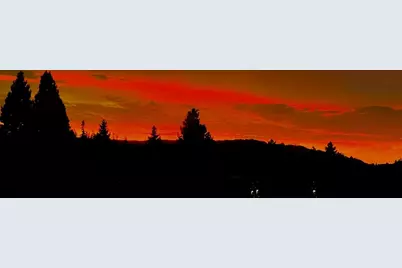 903 Lundy Ln, Scotts Valley, CA 95066 - Photo 29