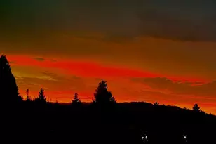 903 Lundy Ln, Scotts Valley, CA 95066 - Photo 29