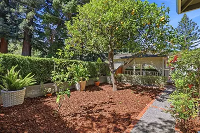 203 Alexander Ave, Los Gatos, CA 95030 - Photo 47