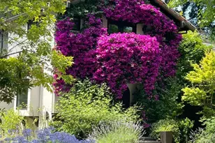 850 Guinda St, Palo Alto, CA 94301 - Photo 39