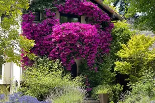 850 Guinda St, Palo Alto, CA 94301 - Photo 1