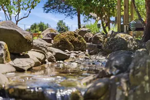 20100 Black Rd, Los Gatos, CA 95033 - Photo 57