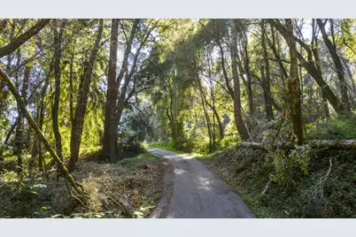 4444 Trout Gulch Rd, Aptos, CA 95003 - Photo 3