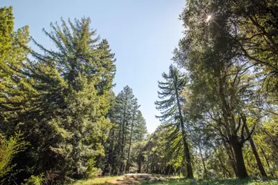 4444 Trout Gulch Rd, Aptos, CA 95003 - Photo 17